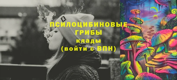 сатива Арсеньев