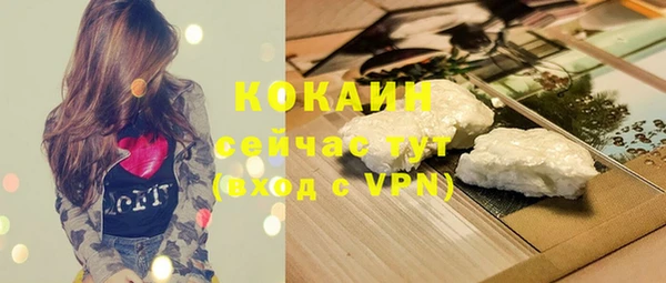 сатива Арсеньев
